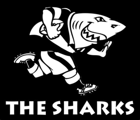 south african sharks rugby
